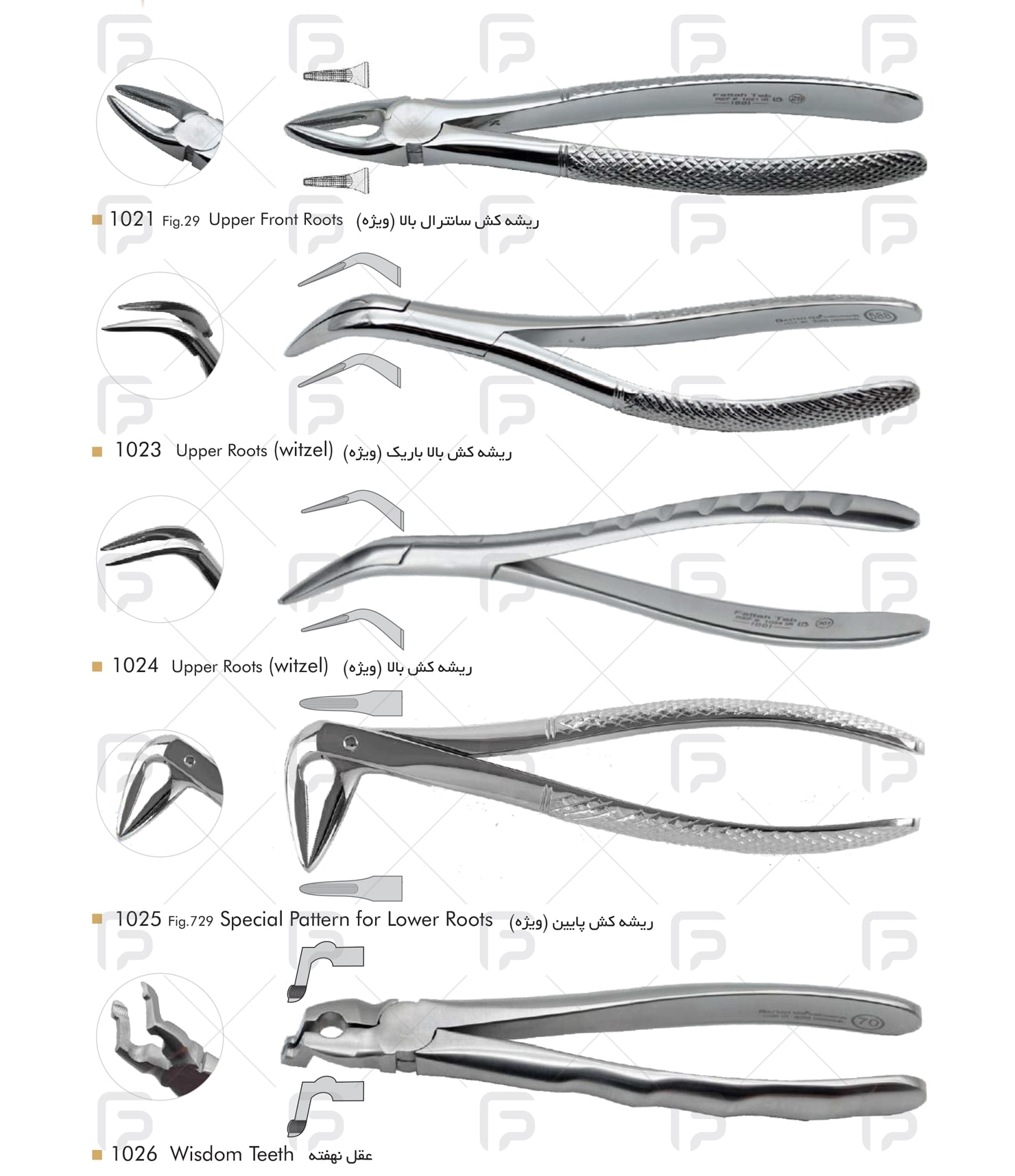 forceps